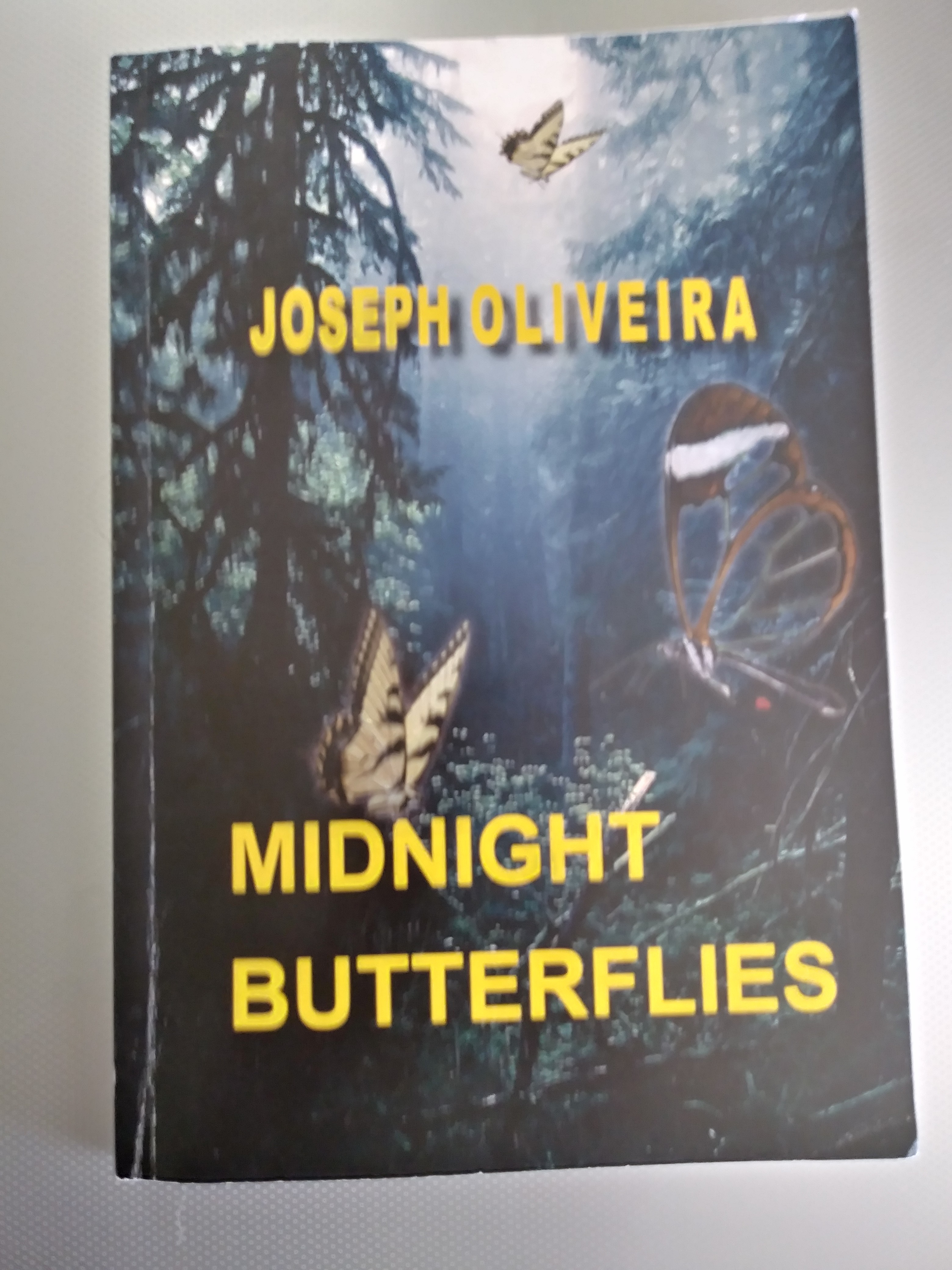 Midnight Butterflies